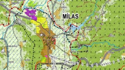 Milas Yaka Mahallesi’nde Zeytinyağı Tesisi İçin ÇED Süreci Başladı