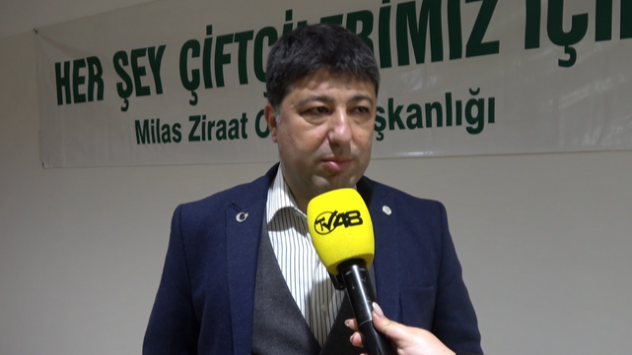 Milas’ta Zeytin İçin Ortak Akıl: Üretim Var, Satış ve Turizmle Güçlenmeli