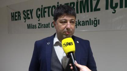 Milas’ta Zeytin İçin Ortak Akıl: Üretim Var, Satış ve Turizmle Güçlenmeli