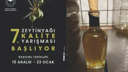 MUĞLA’DA ZEYTİNYAĞI KALİTESİ YARIŞIYOR: 7. ZEYTİNYAĞI KALİTE YARIŞMASI BAŞVURULARI BAŞLADI