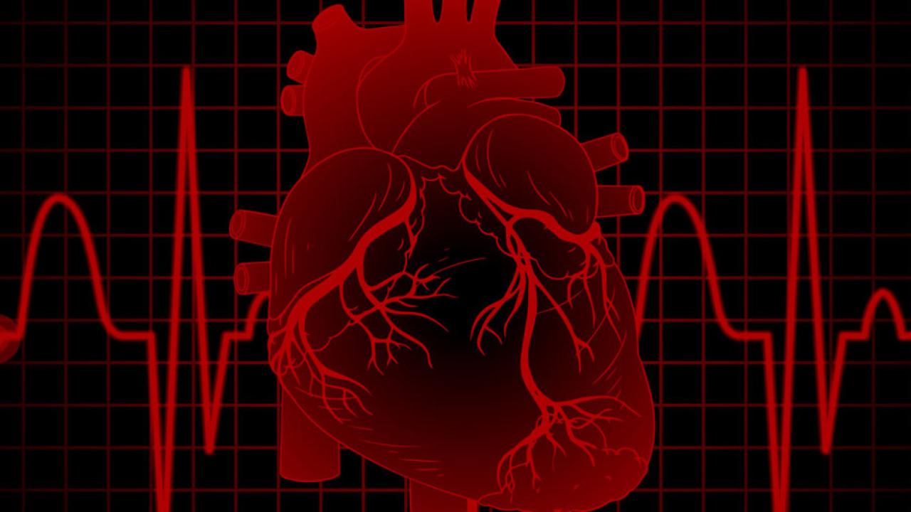 Üzüntü Kalbi Hasta Edebilir