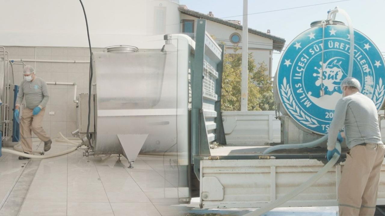 Başkan Gezgin: “Milas Sütünün Marka Değerini Yükselteceğiz”