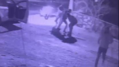 Bodrum'da akrabalar birbirine girdi: 1 tutuklama