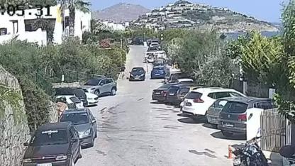 Bodrum’da "Çinko" isimli köpeğe çarpan sürücünün yargılanmasına başlandı