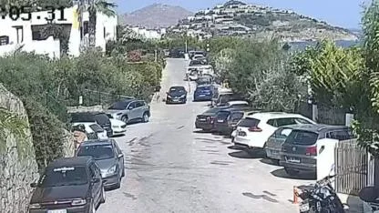 Bodrum’da "Çinko" isimli köpeğe çarpan sürücünün yargılanmasına başlandı