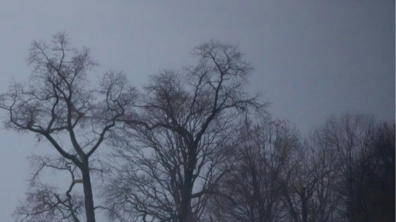 Datça'da bir kişi ağaca asılı halde ölü bulundu