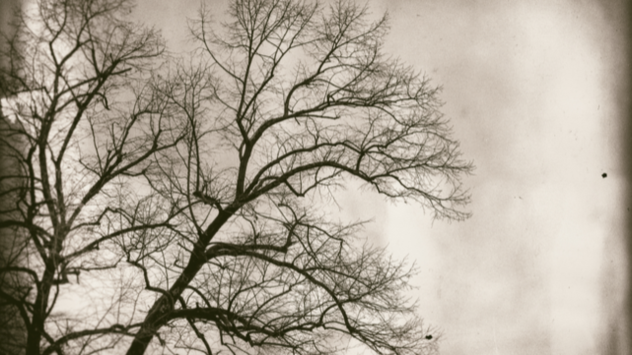 Dürüstlük ve ince ayarlar