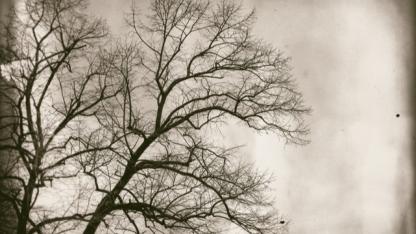 Dürüstlük ve ince ayarlar