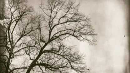 Dürüstlük ve ince ayarlar