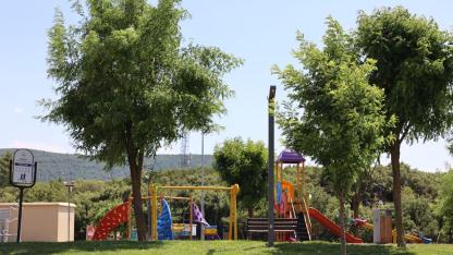 Muğla Büyükşehir 934 Ağaç Dikti, Parklar Yenileniyor