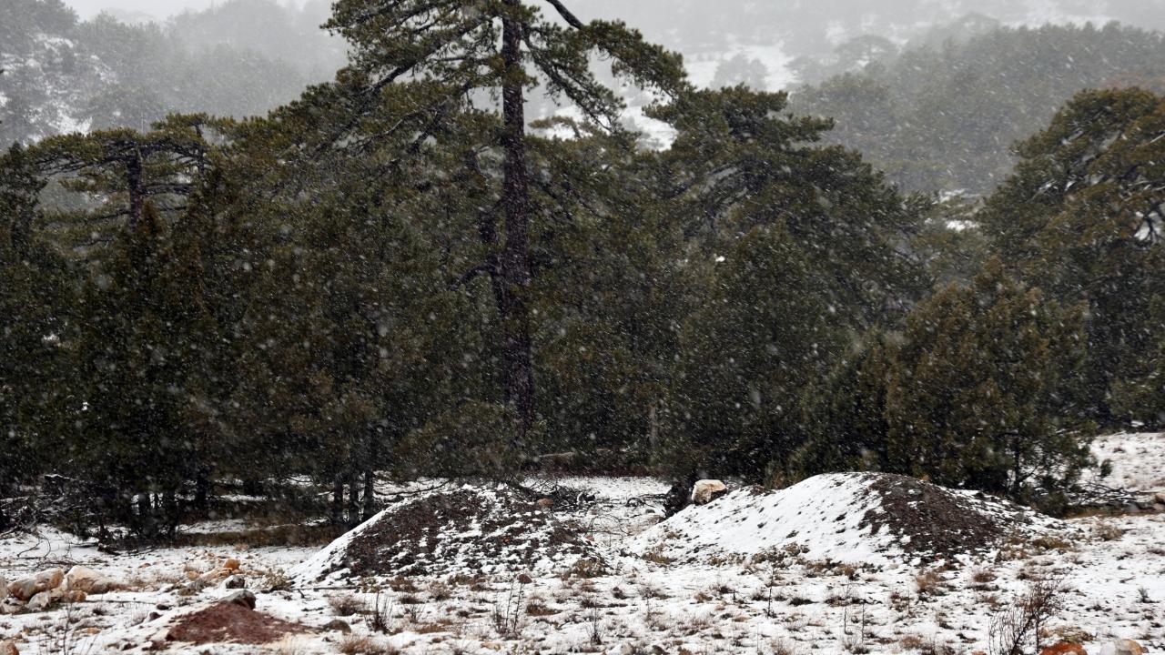 Muğla’nın yüksek kesimlerinde kar yağışı etkili olmaya başladı