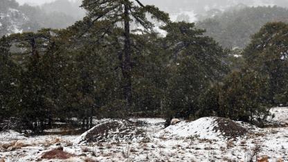 Muğla’nın yüksek kesimlerinde kar yağışı etkili olmaya başladı