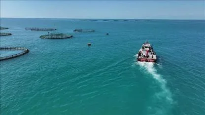 Türkiye’de Balık Üretiminde Tarihi Rekor