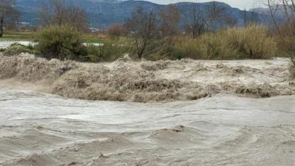 Çay taştı, tarım arazileri ve hayvan barınağı sular altında kaldı