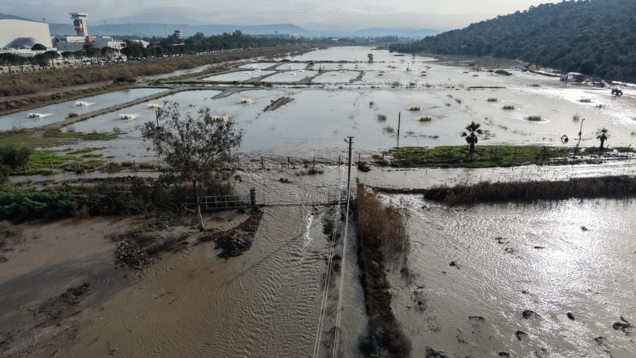 Güllük Su Ürünleri’nde Sel Felaketi: Zarar 60 Milyon TL, 195 Ton Balık Telef Oldu