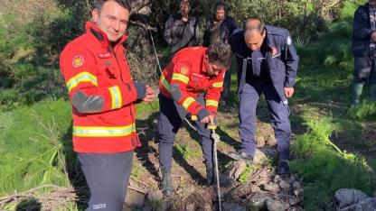 Kuyuya düşen buzağı kurtarıldı