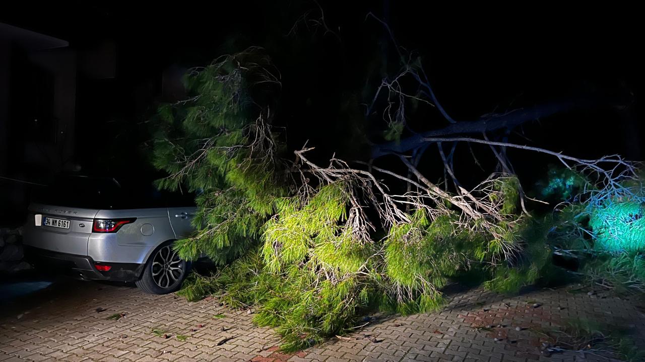 Marmaris'te fırtına ağaç devirdi: 1 kişi yaralandı