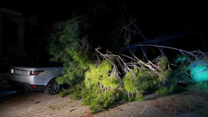 Marmaris'te fırtına ağaç devirdi: 1 kişi yaralandı