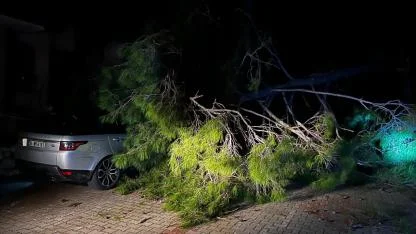 Marmaris'te fırtına ağaç devirdi: 1 kişi yaralandı