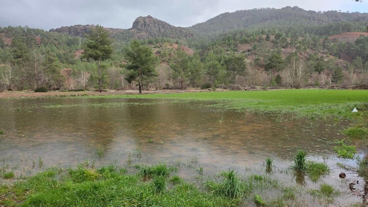 Menteşe’de sağanak yağışların ardından tarım arazilerinde hasar tespit çalışmaları başladı