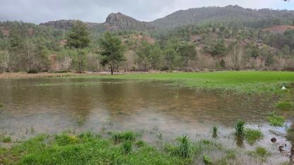 Menteşe’de sağanak yağışların ardından tarım arazilerinde hasar tespit çalışmaları başladı