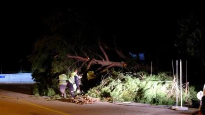 Bodrum Belediyesi fırtına dinlemedi