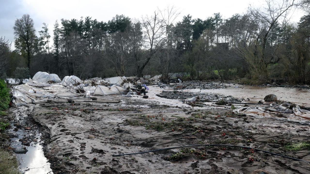 Tüm birikimlerini 1 saatte kaybettiler