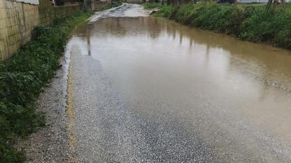 TV48 İhbar Hattına Gelen Şikâyet: Milas’ta Yol Sorunu Tepki Çekiyor