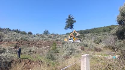 Akbelen direnişçilerinden zeytin kesimine tepki