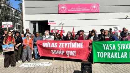 “MİLAS’IN ZEYTİNİ SAHİPSİZ DEĞİL”