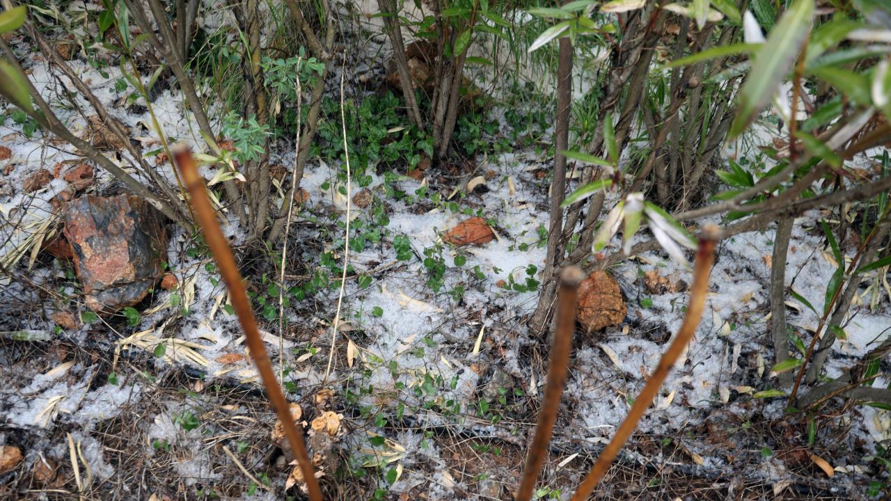 Sağanakla Birlikte Dolu Yağdı, Muğla'da Yollar Beyaza Büründü