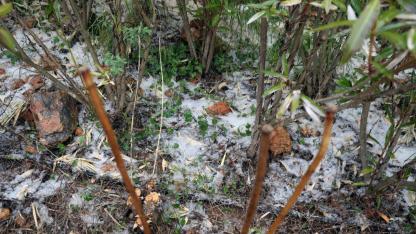 Sağanakla Birlikte Dolu Yağdı, Muğla'da Yollar Beyaza Büründü