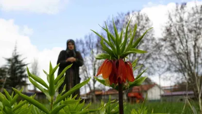 Ağlayan gelinler 5 yıl sonra baharı karşıladı