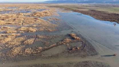 Akşehir Gölü’nde yıllardır görülmeyen oldu