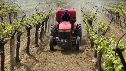 Alaşehir’de "3K Bağcılık" ile kalıntısız üretim başladı