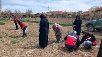 Aslanapa’da çiftçilere yönelik eğitim ve saha çalışmaları gerçekleştirildi