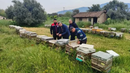 Aydın’da ana arı üretim kovanları denetlendi