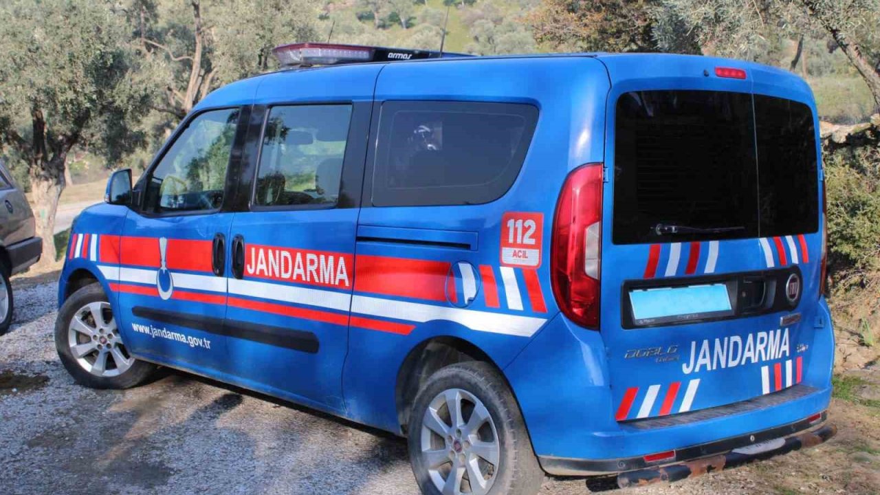 Aydın’da bir kişi ağaca asılı halde bulundu