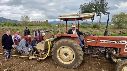 Başkan Pütün tütün sezonun başlamasıyla birlikte üreticiyle tarlada buluştu