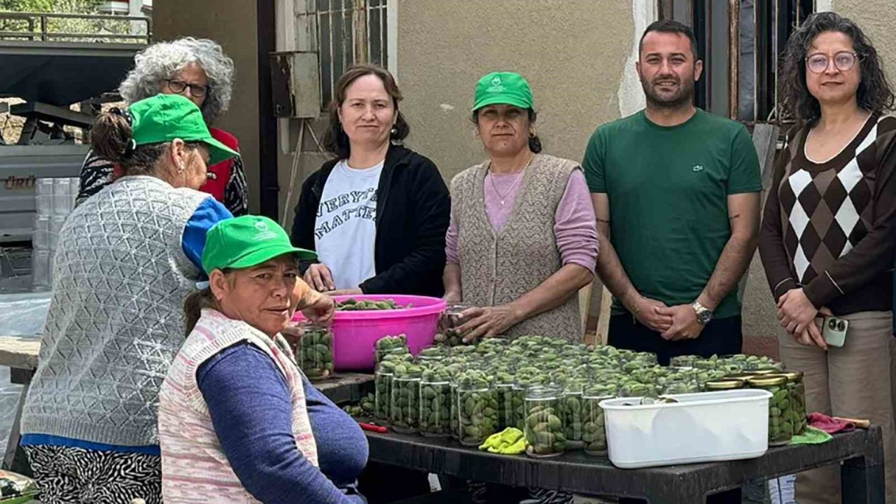 Çağla turşusundan kadın üreticilere ekonomik katkı