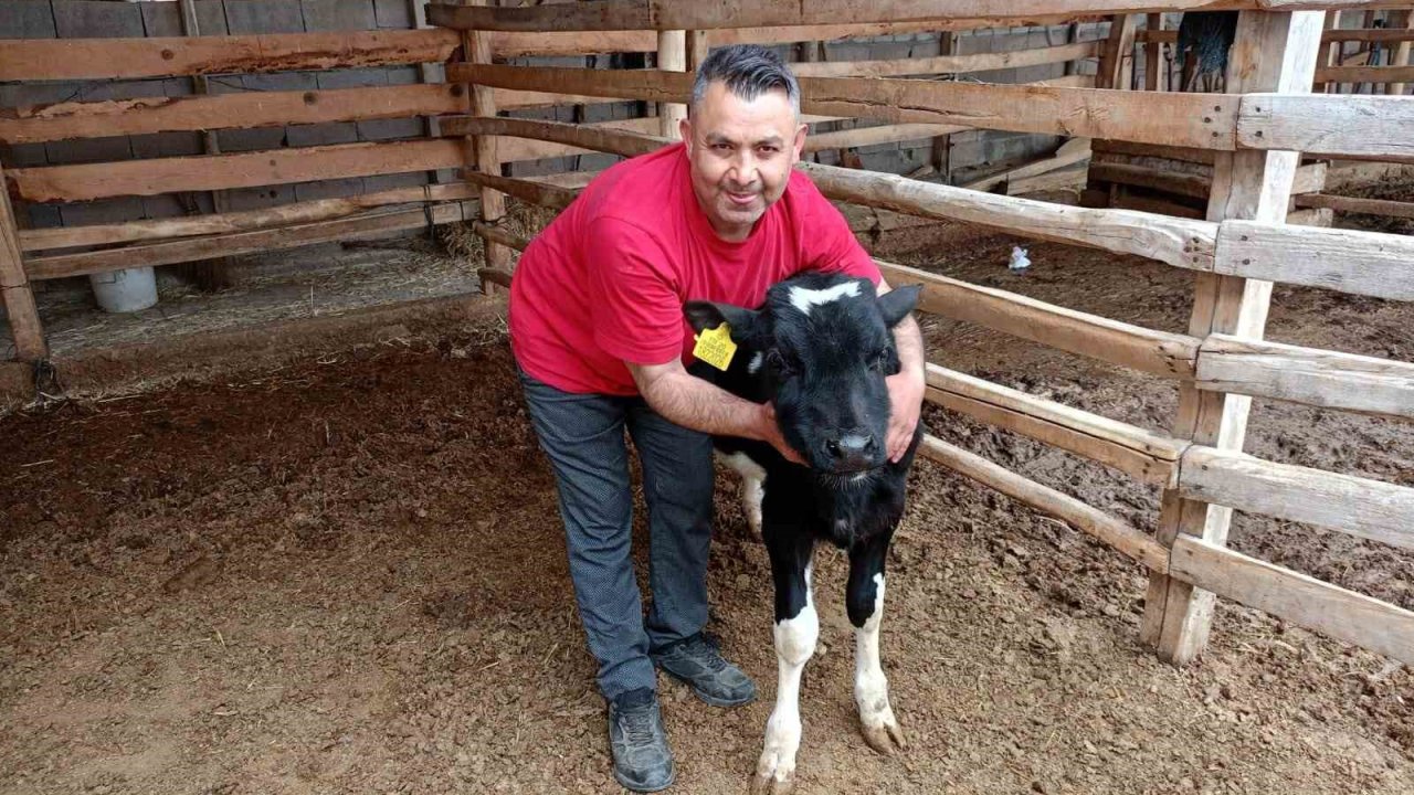 Çal’da Mert için yürekler seferber oldu