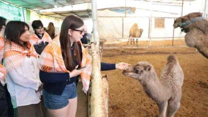 Estonyalı öğrenciler deve çiftliğini gezdi