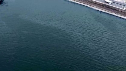 İzmir Körfezi’nde kirlilik alarmı: Aynı tehdit 11. kez görüldü