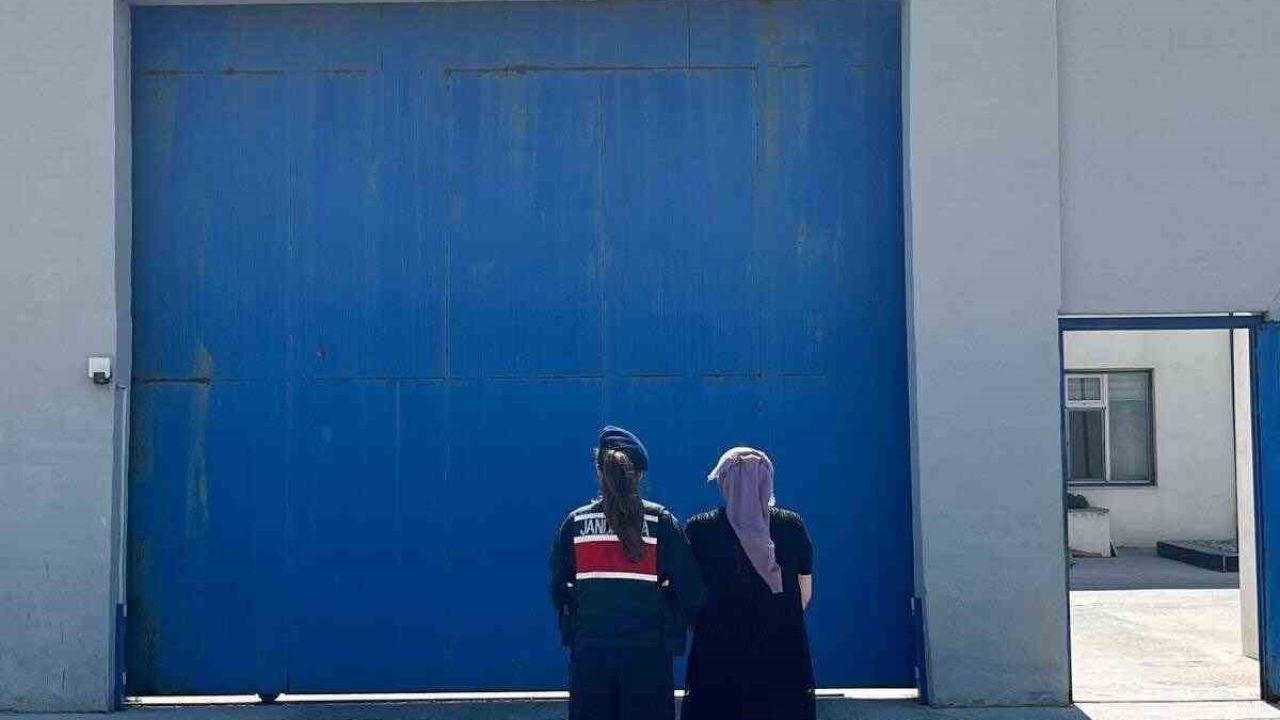 Jandarma 10 yıl hapis cezasıyla aranan şahsı yakaladı