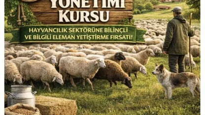 Karacasu’da sürü yönetimi kursu başlıyor