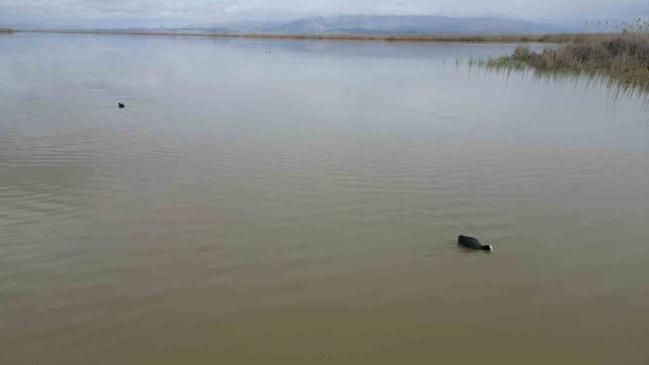 Karaya oturan kayıklar, su seviyesi artınca yüzmeye başladı, ortaya çıkan adacıklar yok oldu