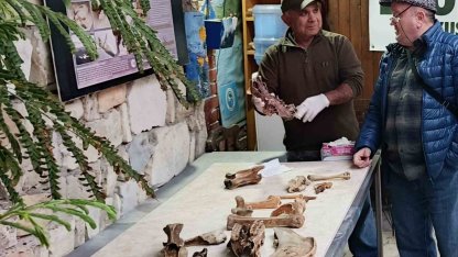 Kuşadası kıyılarında fırtına sonrası ortaya çıkan kemikler incelendi