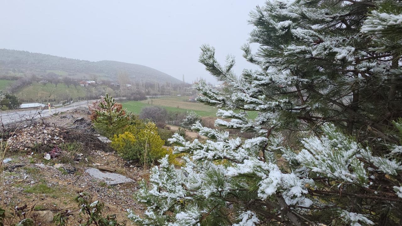 KÜTAHYA’DA NİSAN KARI ETKİLİ OLDU