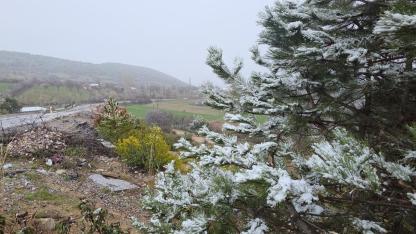 KÜTAHYA’DA NİSAN KARI ETKİLİ OLDU