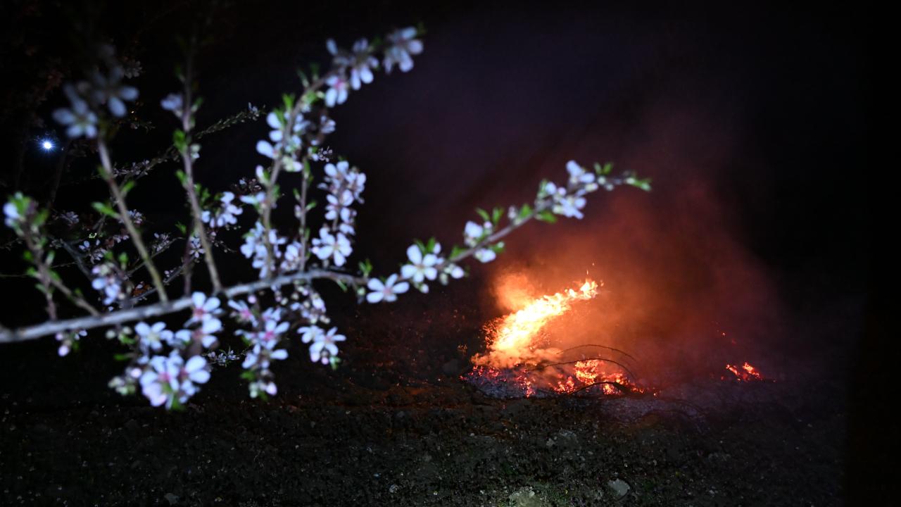 MANİSA DEMİRCİ’DE ZİRAİ DON NÖBETİ